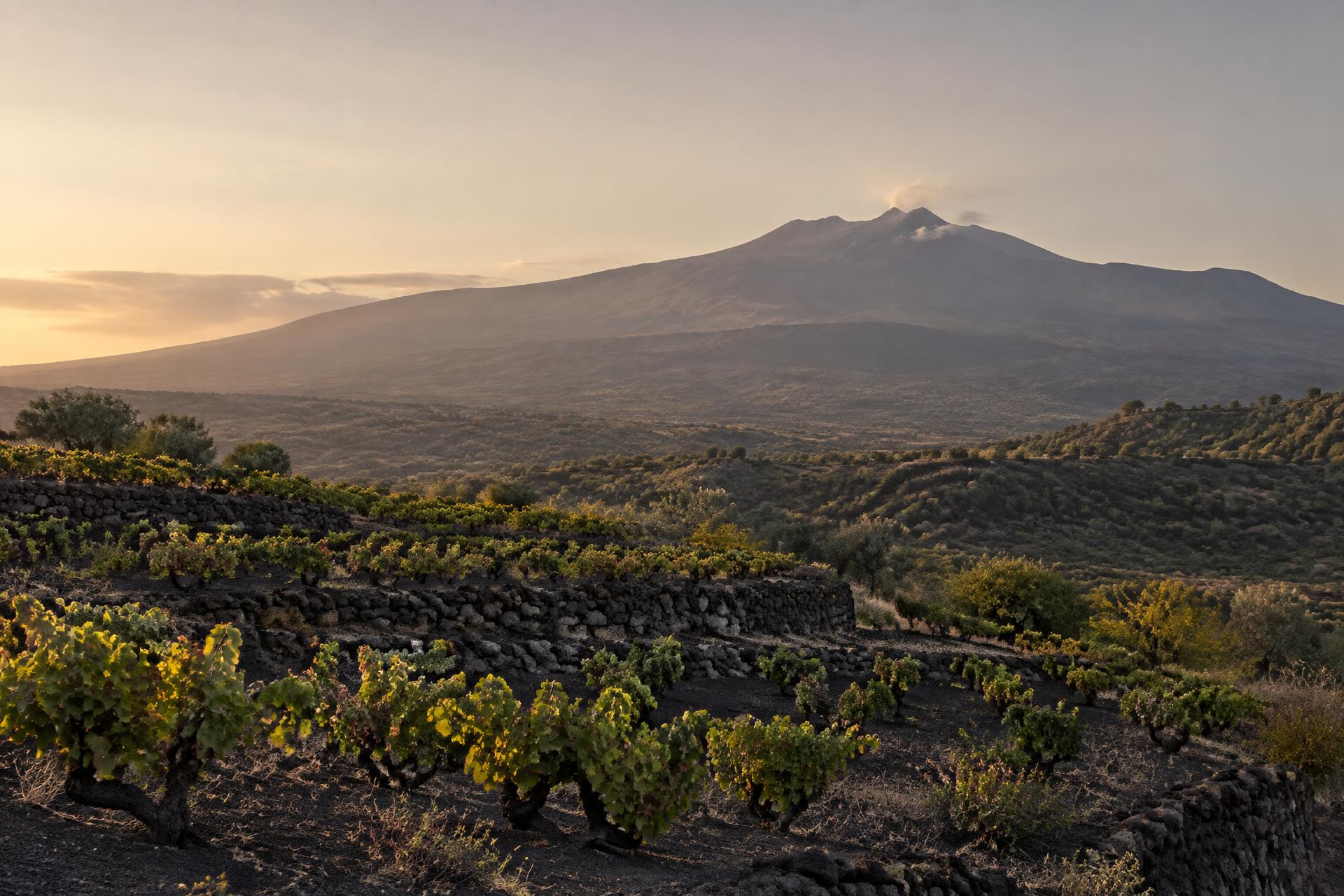 Mount Etna at golden hour